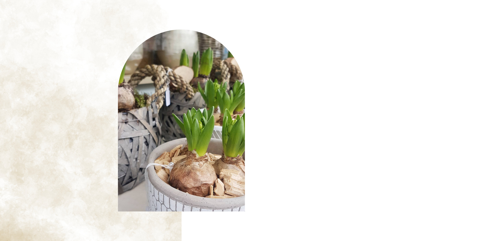 fleuriste à meyzieu