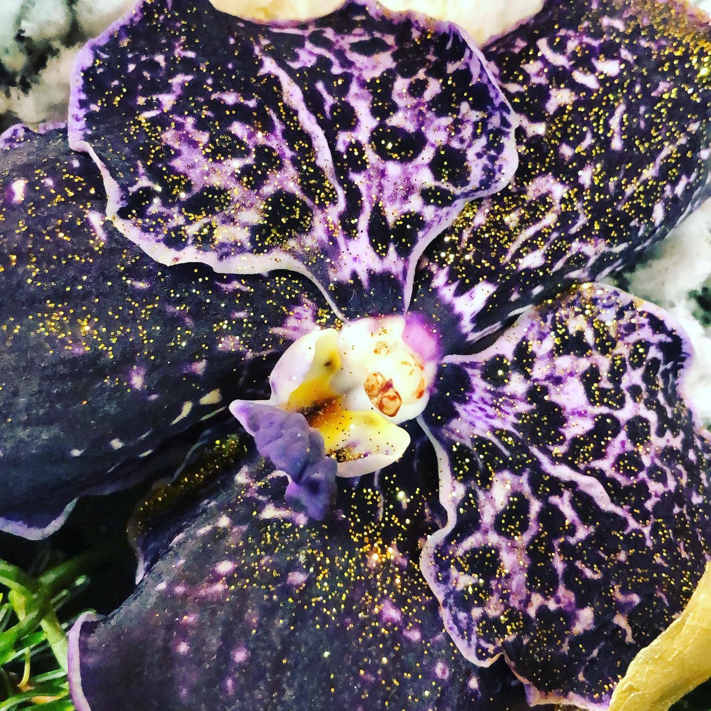 fleuriste à Meyzieu